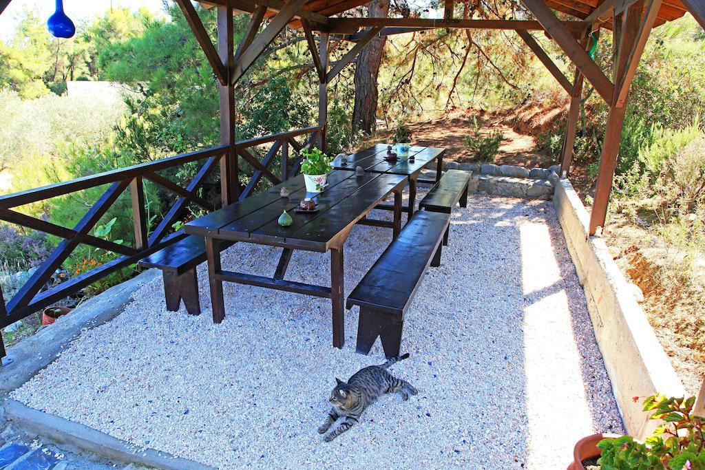Dionysus Apartments & Suites Ierissos Exterior foto